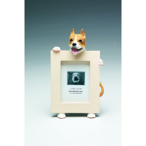 Pit Bull picture frame new in box! - Picture 1 of 1